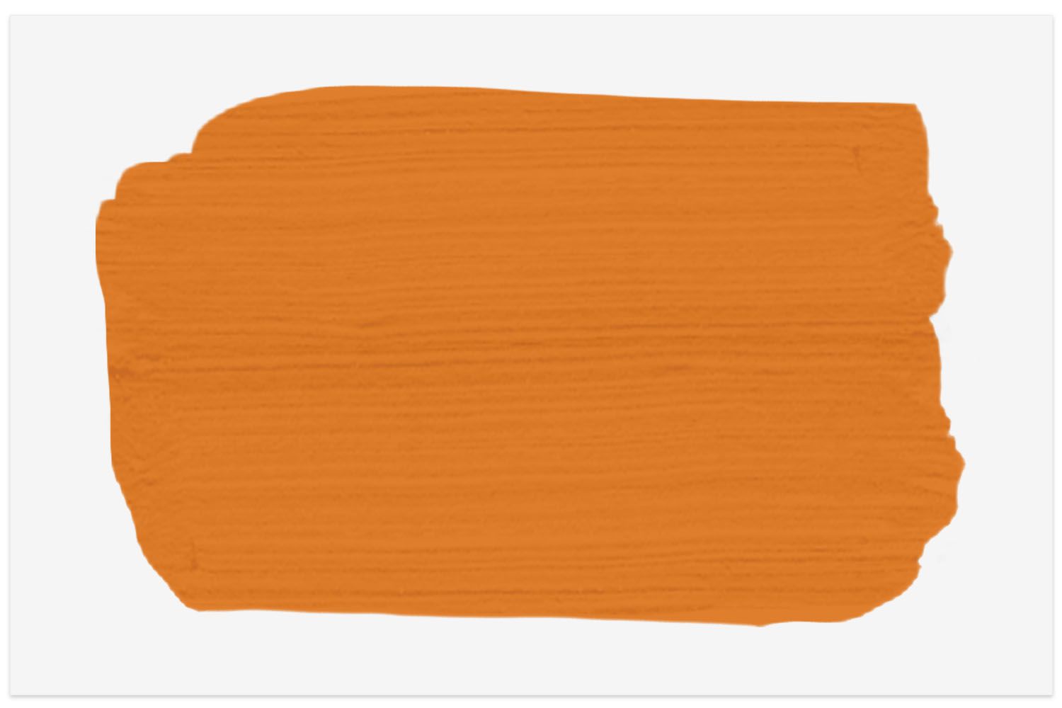 Spruce Paint color in Electric Kumquat
