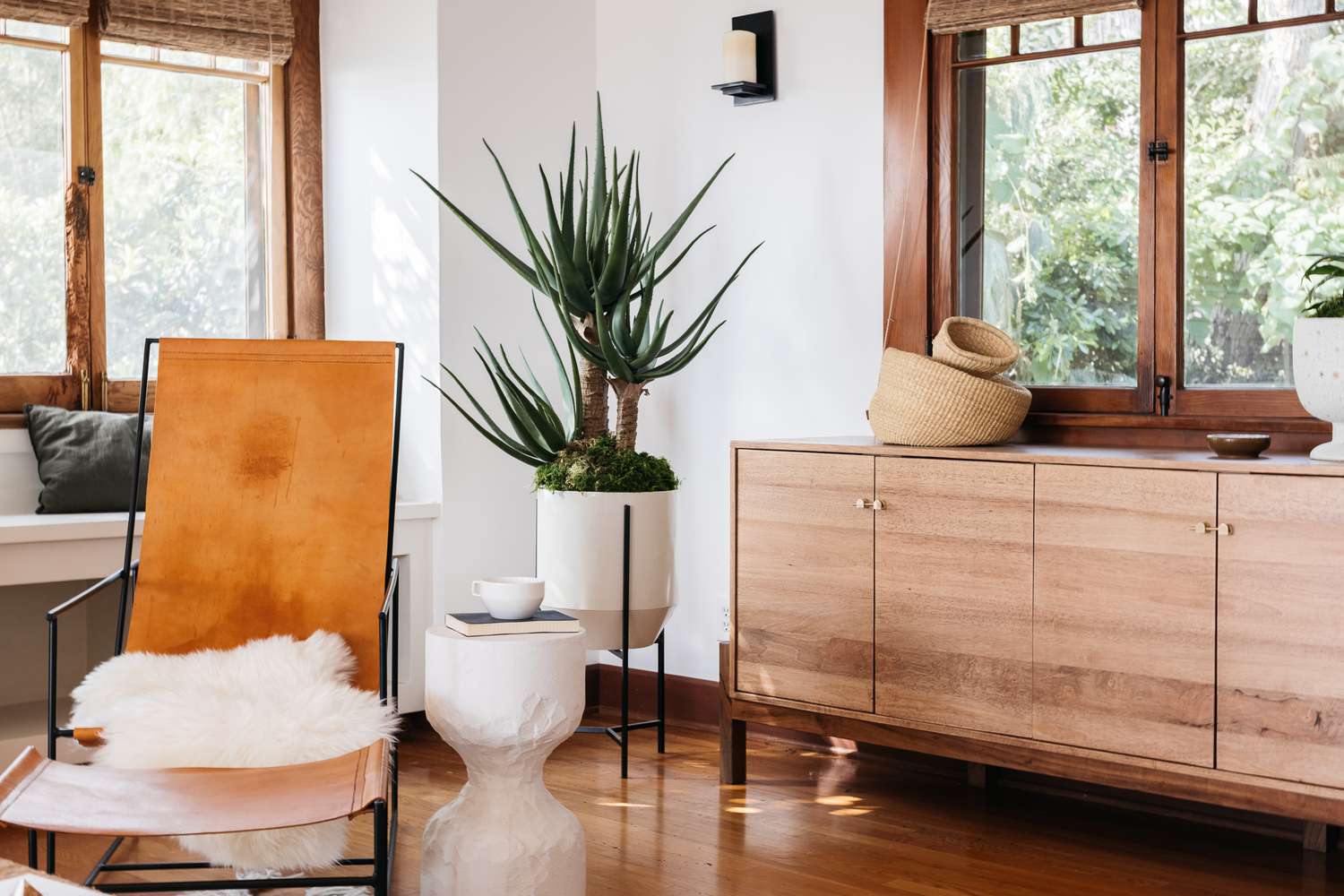 Sala de estar decorada em branco com acabamento em madeira natural e uma grande planta de casa entre armários de madeira e cadeira de couro