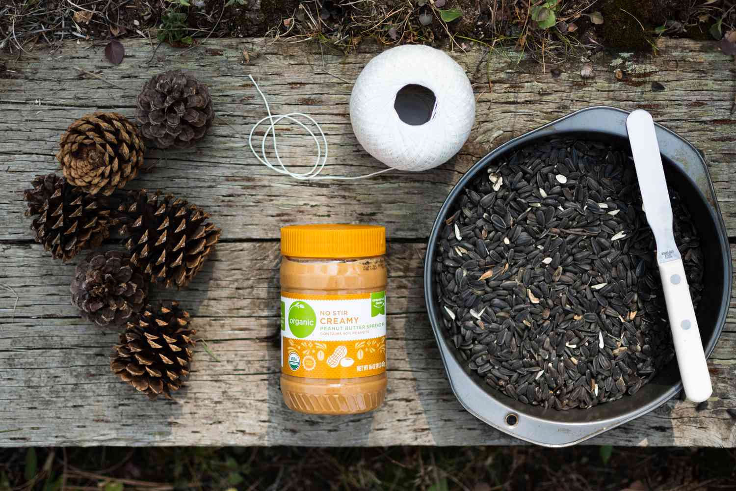 Materials to make a diy pine cone bird feeder