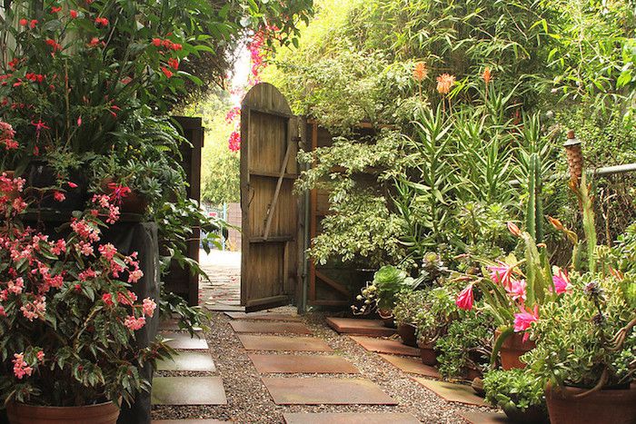 Tropical plants flanking a path of pavers and gravel inside a fenced garden.