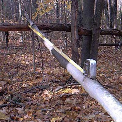 Midiendo poste para refugio de arbustos