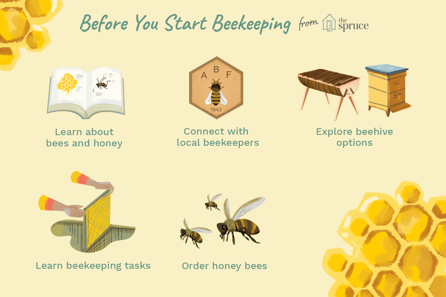 antes de começar a apicultura