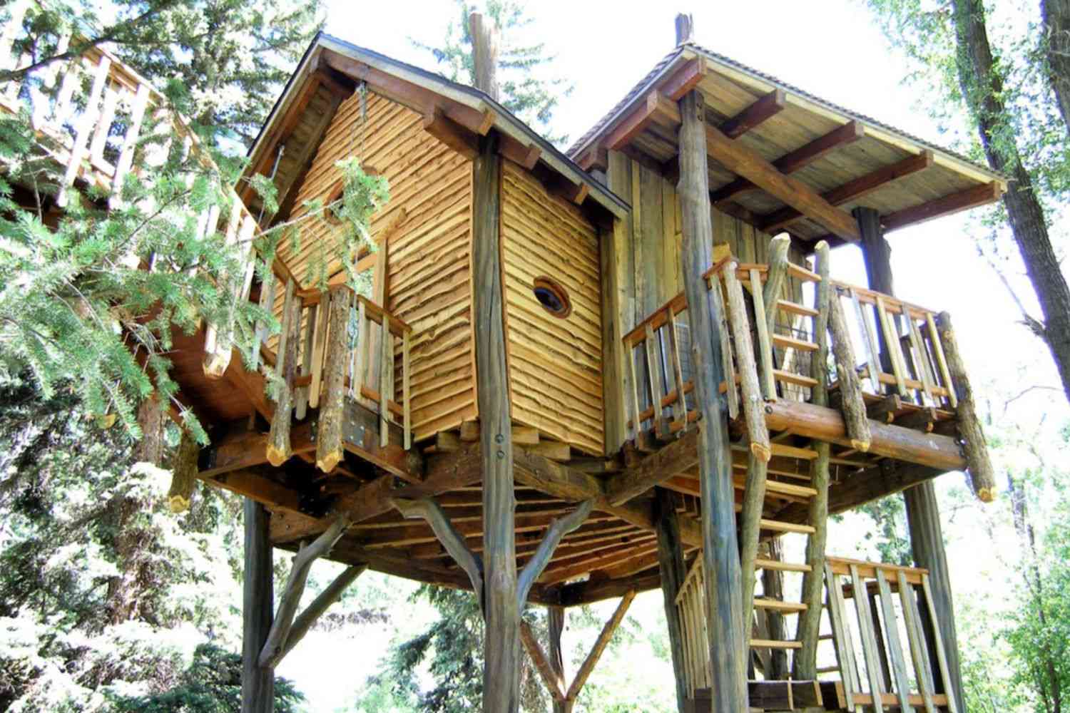 treehouse guest house