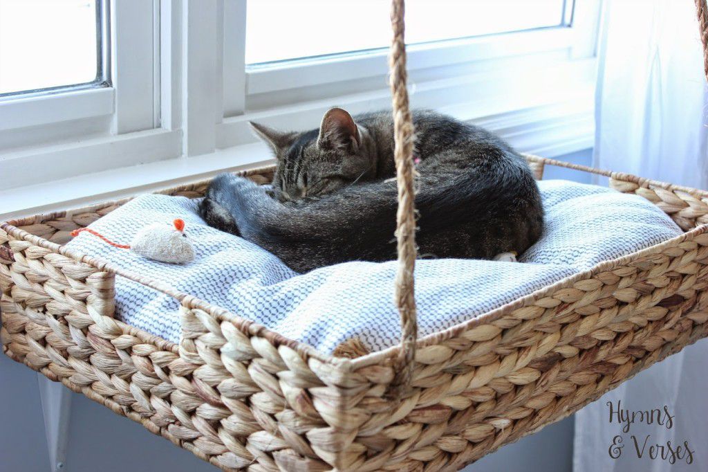 Gato dormindo em cesta de vime cama de gato em prateleira 