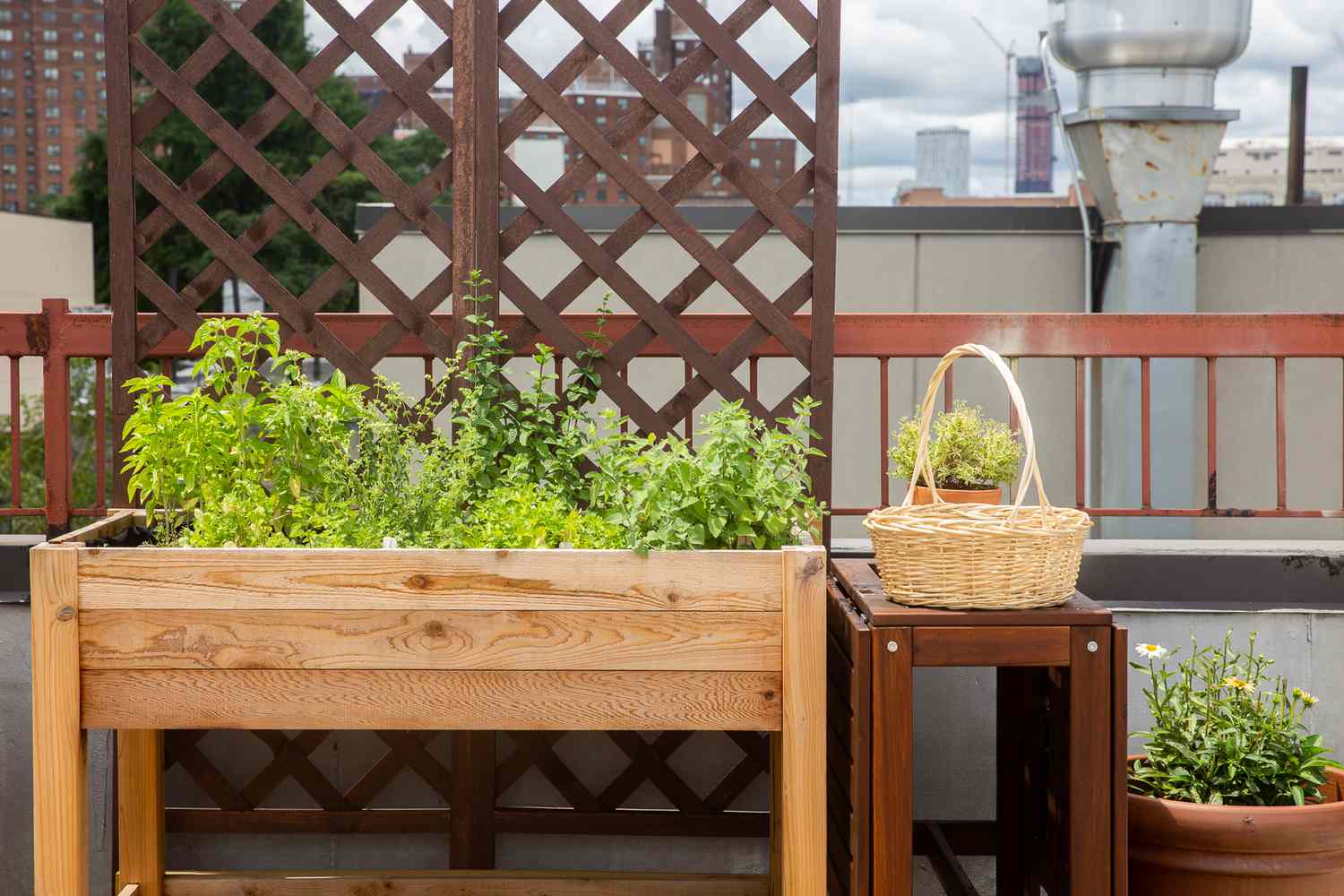 Jardinera elevada junto a mesa con cesta y plantas delante de espaldera
