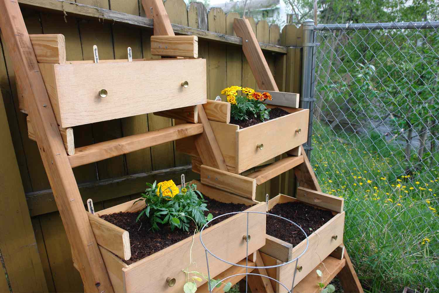 Dresser Turned into a Vegetable Garden