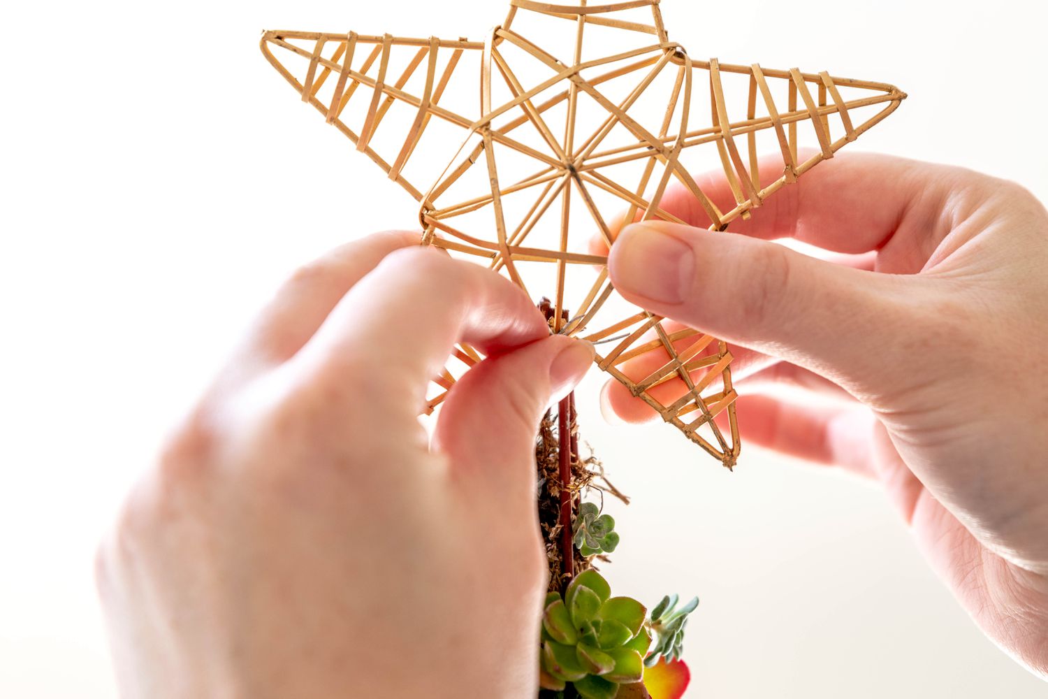 Decorative star topper added to top of tree