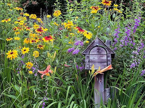 Informal Mailbox Garden