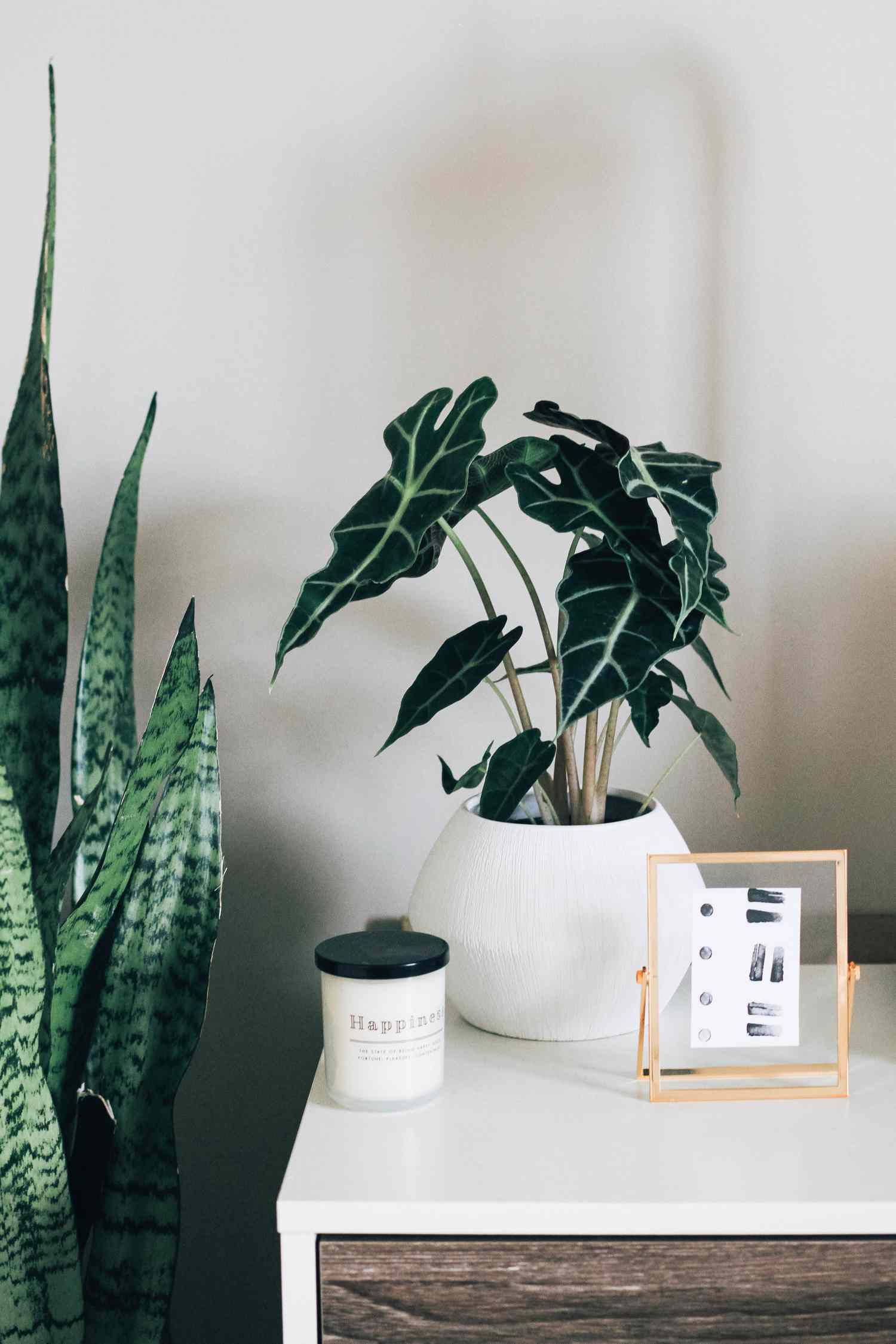 meuble blanc et bois avec deux plantes et accessoires