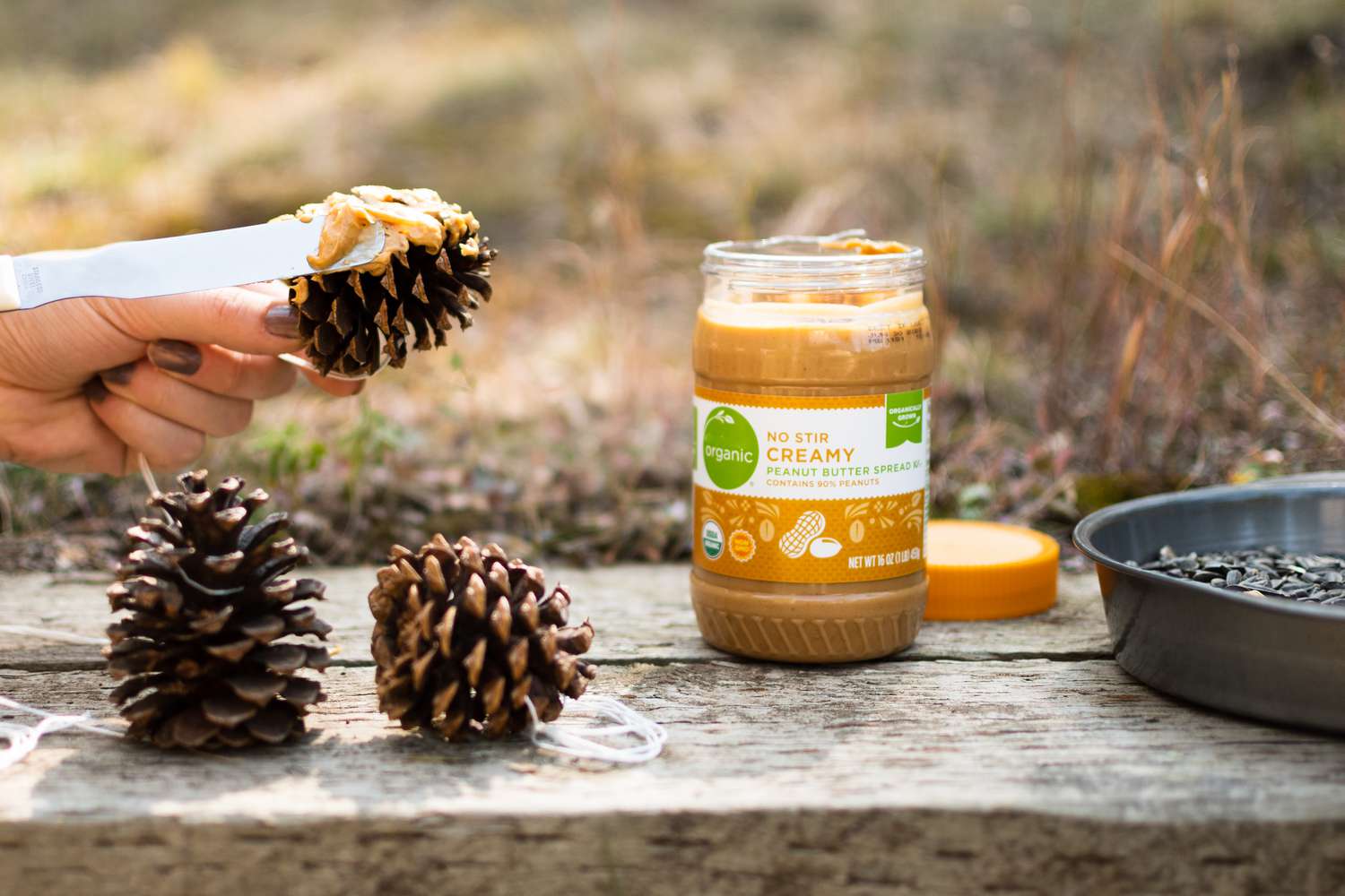 Pines cones wrapped in string and coated with peanut butter next to jar