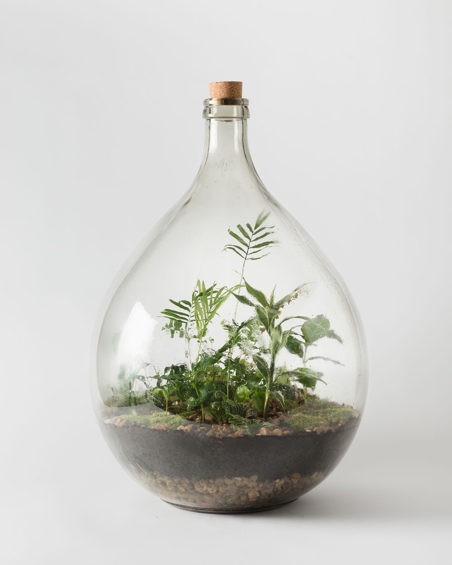 London Terrarium von Emma Selby