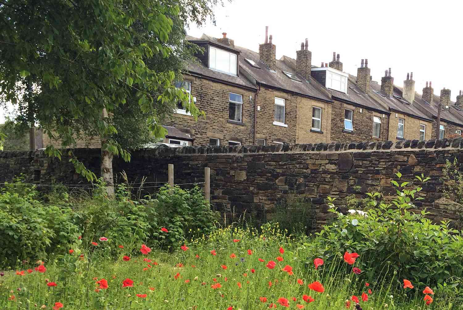 Victorian Terraced Houses in England