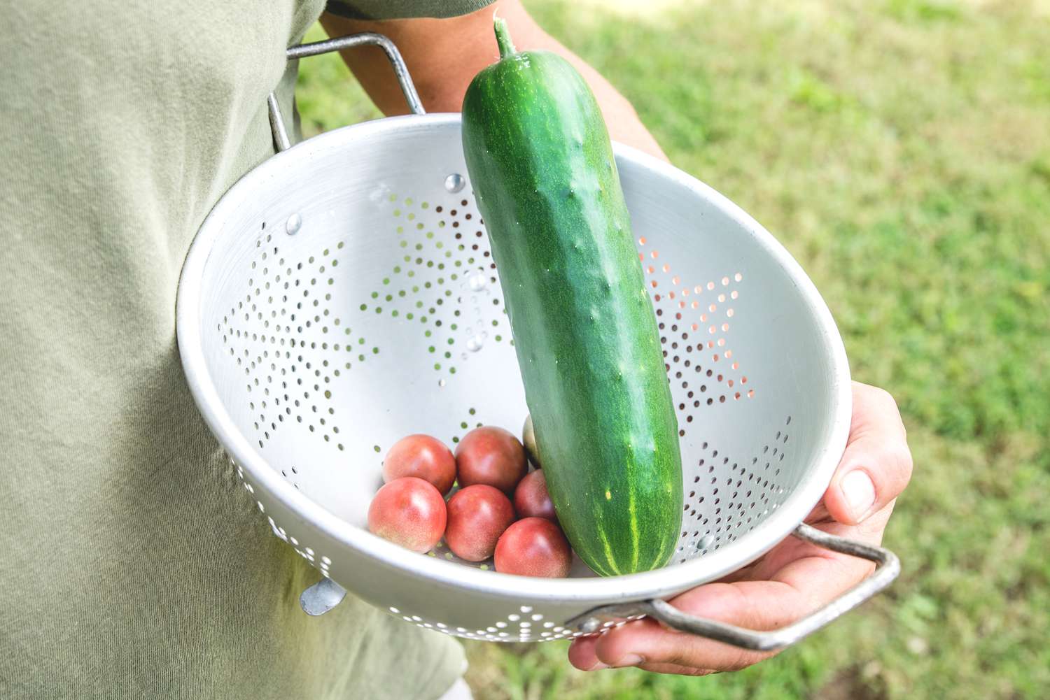 cosecha de verduras