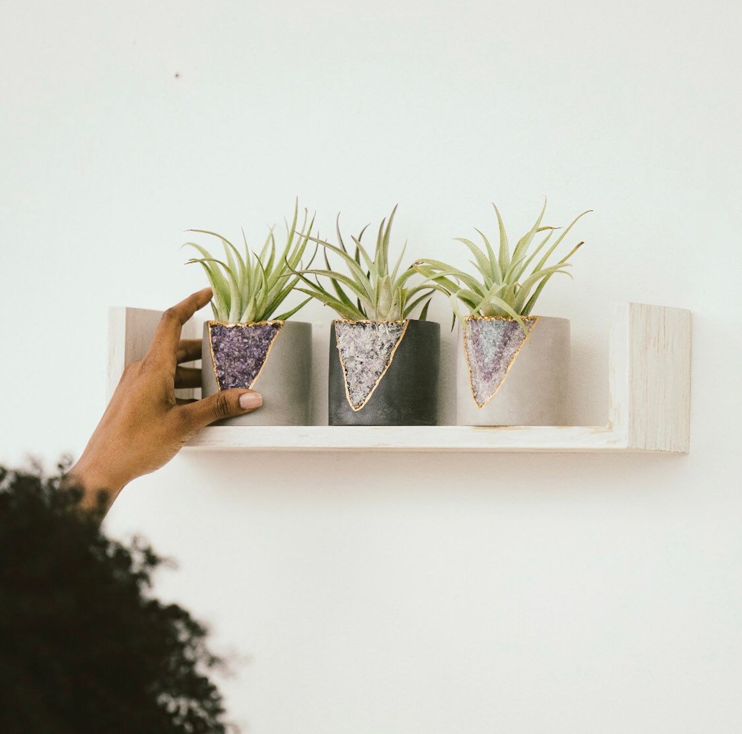 Geode planters on shelf