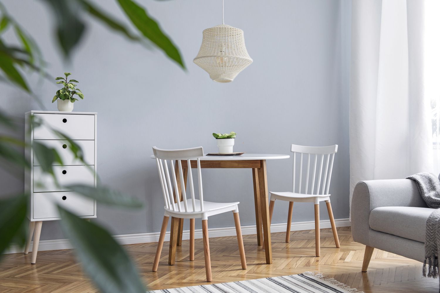 Moderne skandinavische Einrichtung des Wohnzimmers mit Designermöbeln, Familientisch, Sofa und Pflanzen Braunes Holzparkett und stilvoller Teppich. Schöne und minimalistische Wohnung.