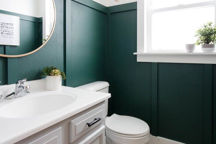 salle de bain avec peinture vert foncé et quelques petites plantes