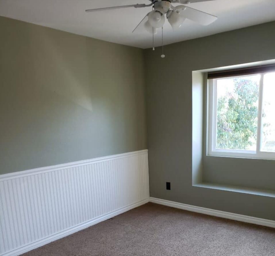 Empty bedroom with brown carpet and gray walls.