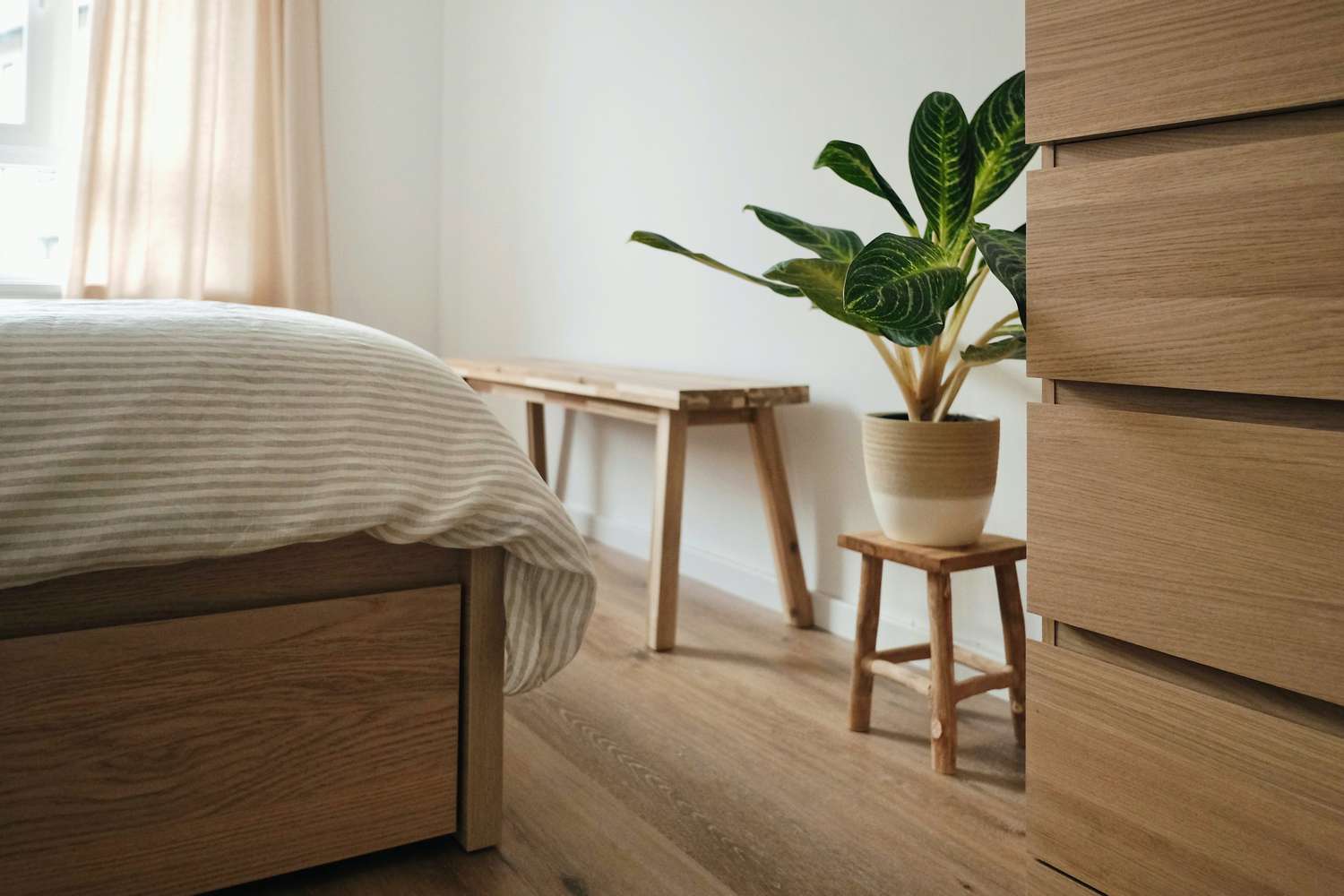 vista de esquina de un dormitorio con un banco y una planta