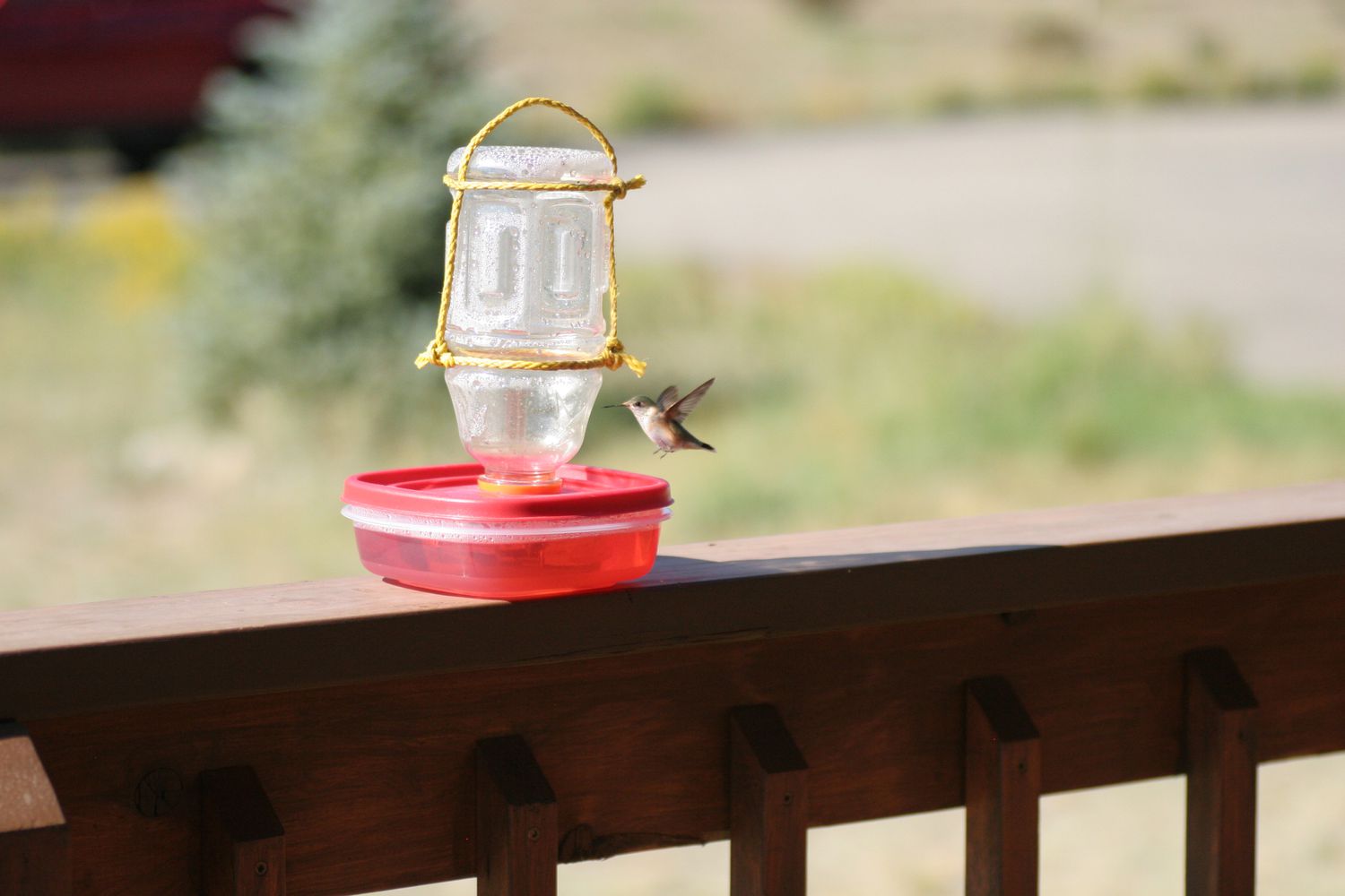 A red hummingbird feeder with a hummingbird