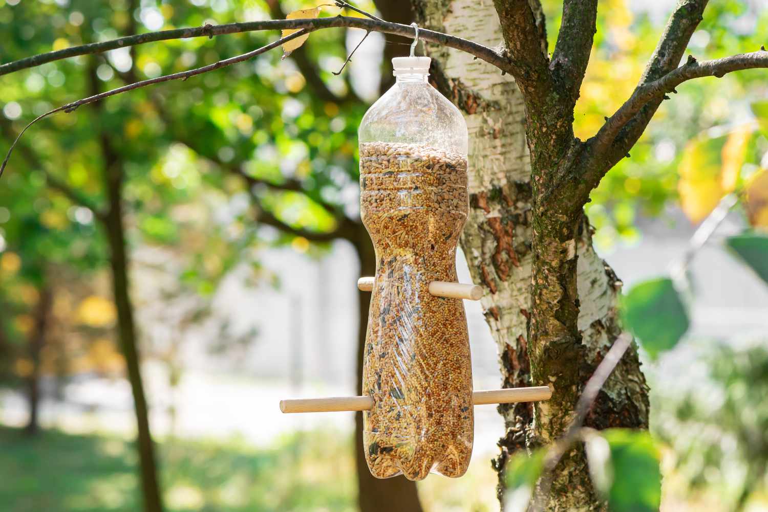 Vogelfutterautomat aus einer Plastikflasche