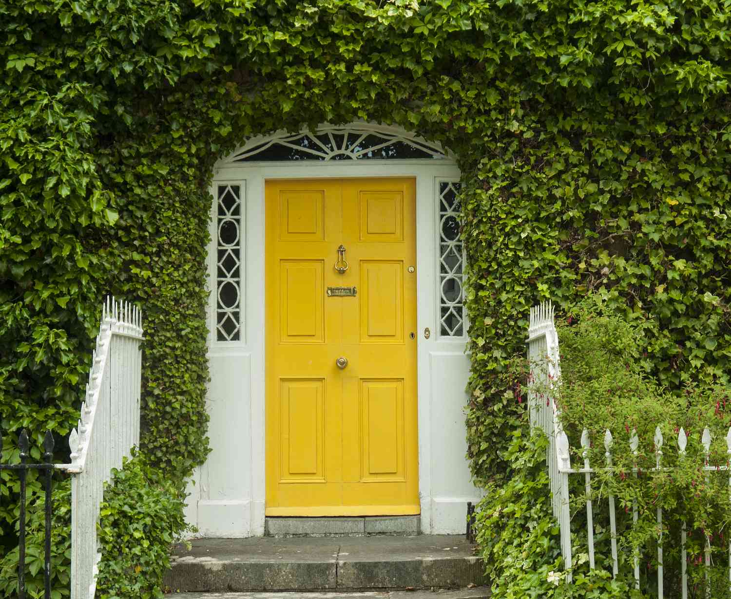 Puerta exterior amarilla