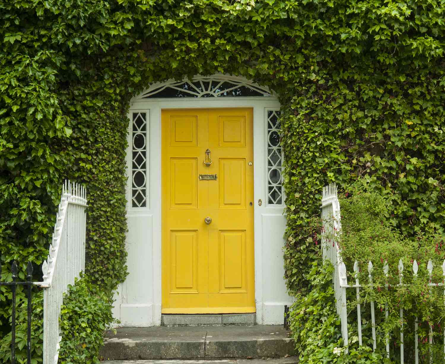 Porte extérieure jaune