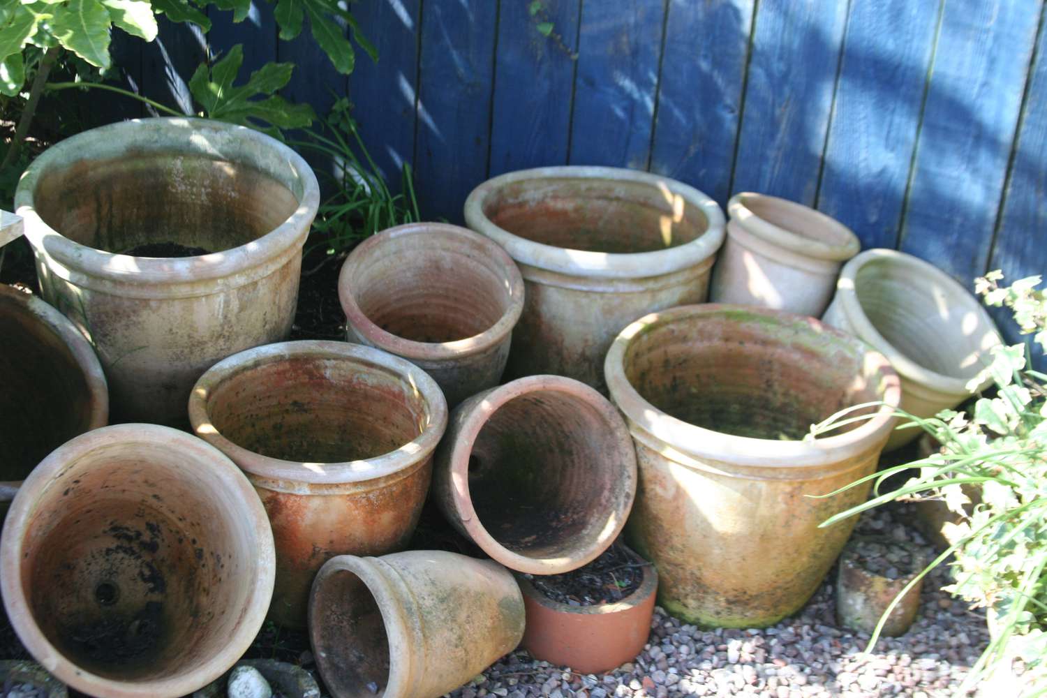 vasos de jardim antigos no quintal