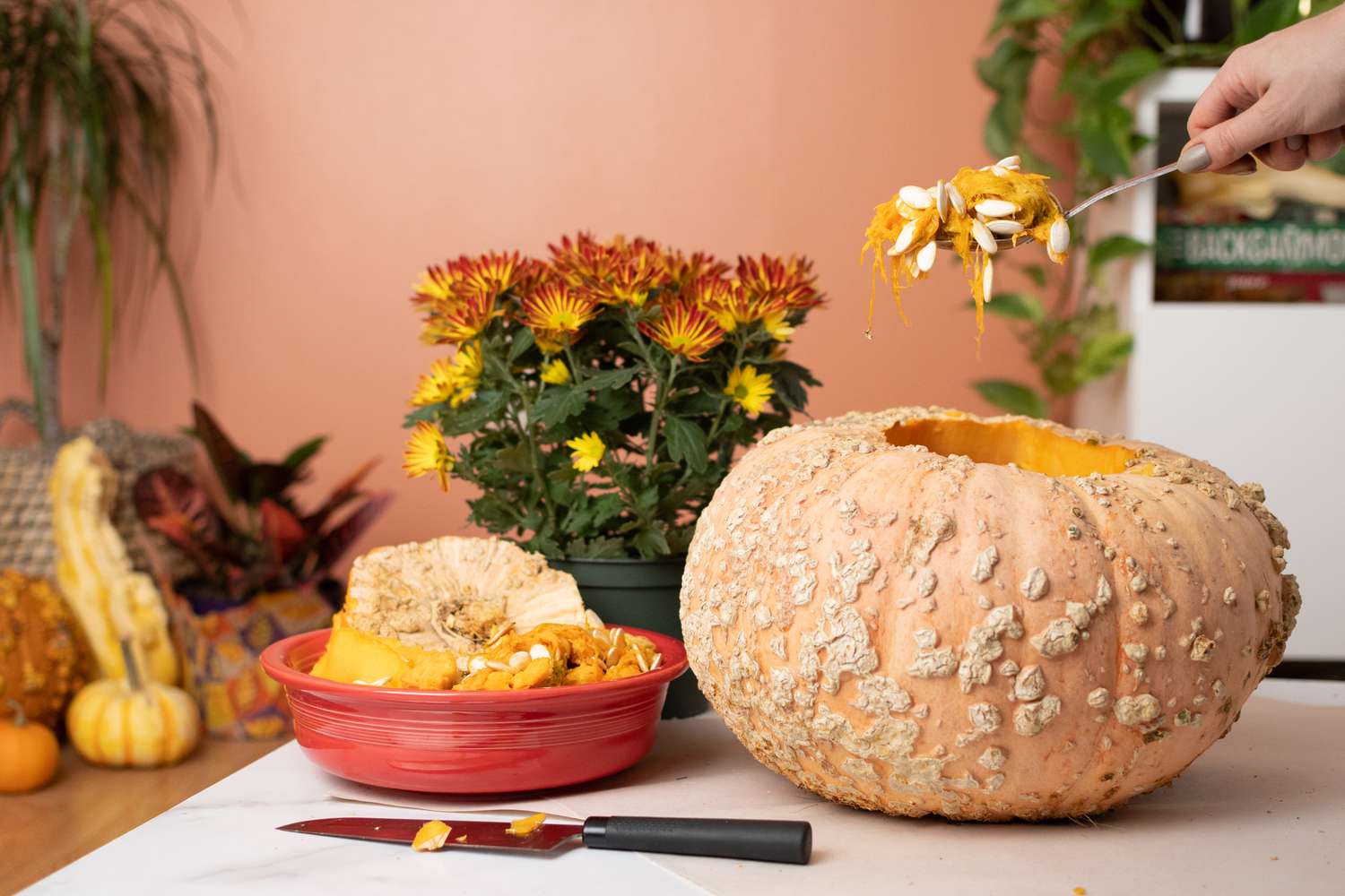 Kürbiskerne mit einem großen Löffel aus dem Kürbisinneren geschöpft