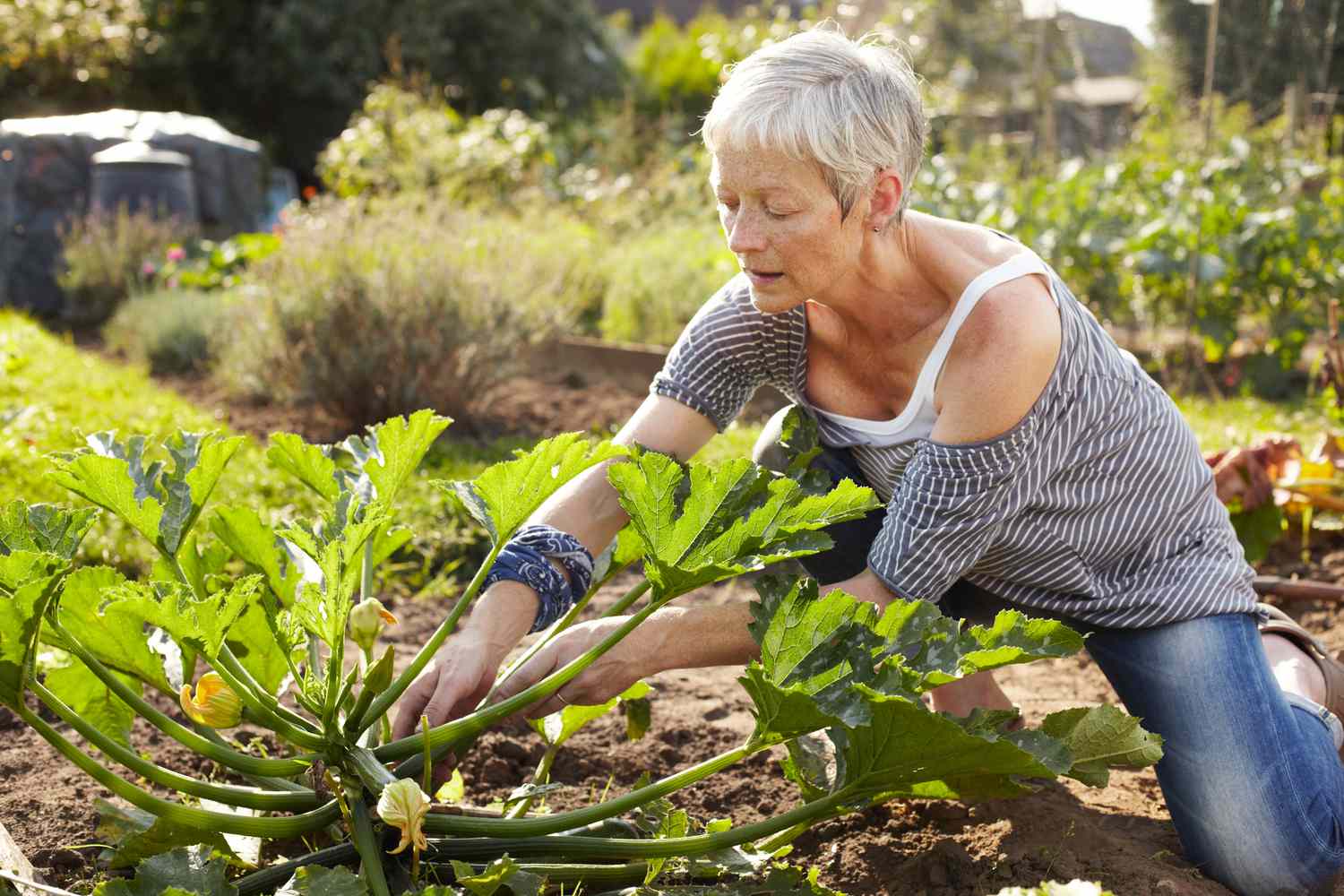 Eine Frau bei der Gartenarbeit