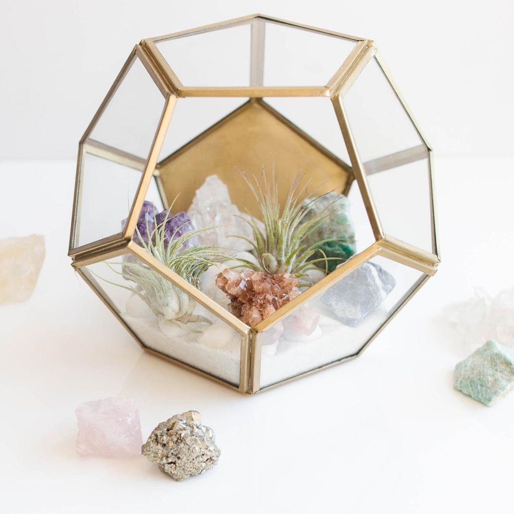 crystal terrarium