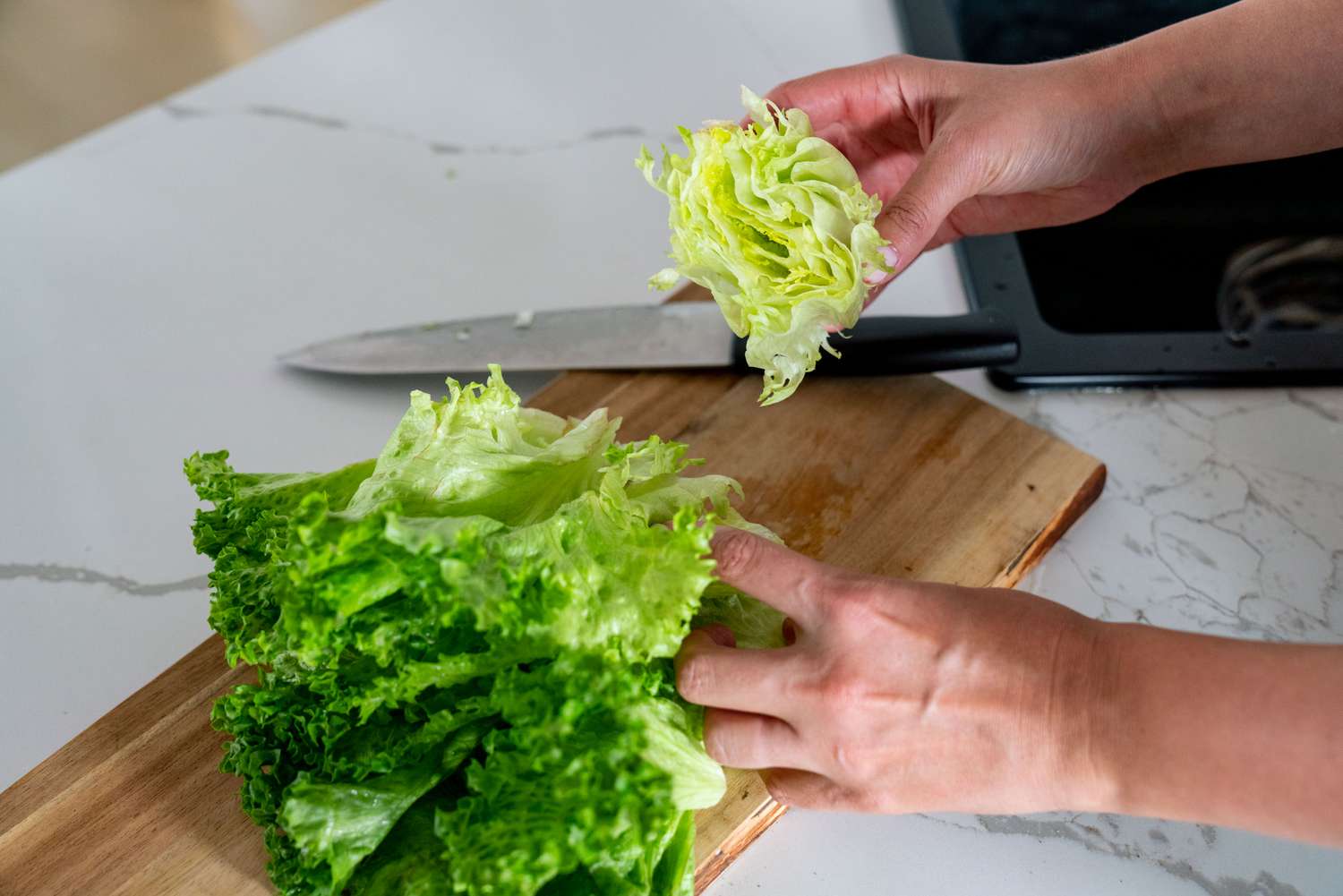 nachwachsender Kopfsalat