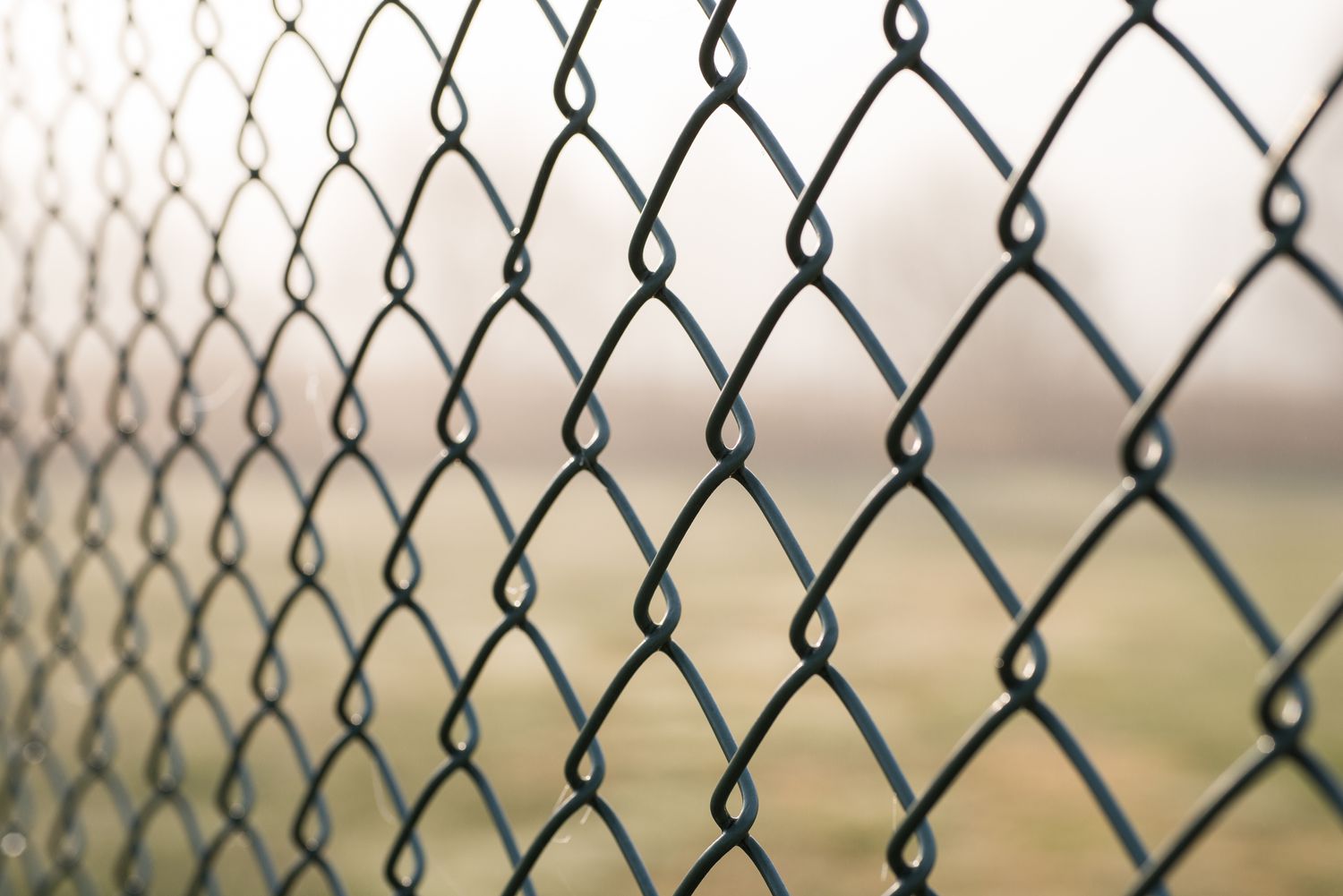 Chain Link Fence