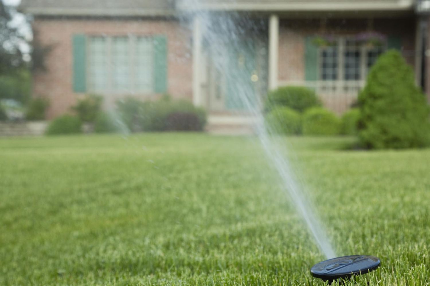 Sprinkleranlage auf dem Rasen vor dem Haus