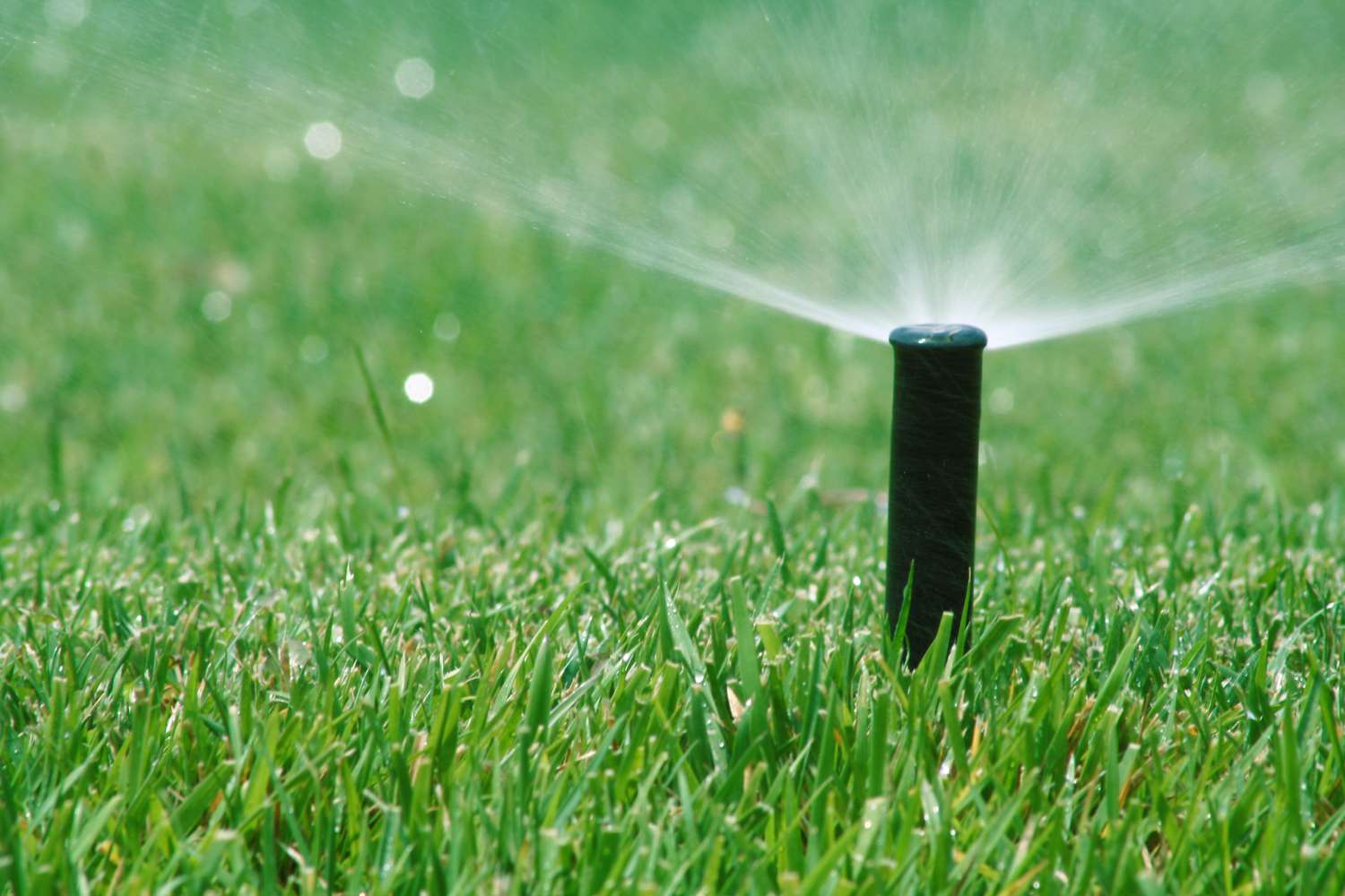 Rasen braucht mehr Bewässerung als Hydrosaat