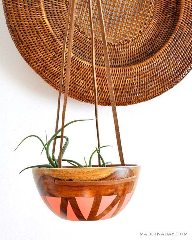 Eine Luftpflanze in einem Kleiderbügel aus Holz und Leder
