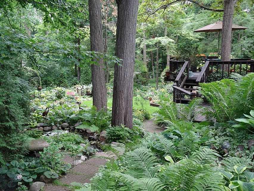 Schattengarten und Terrasse