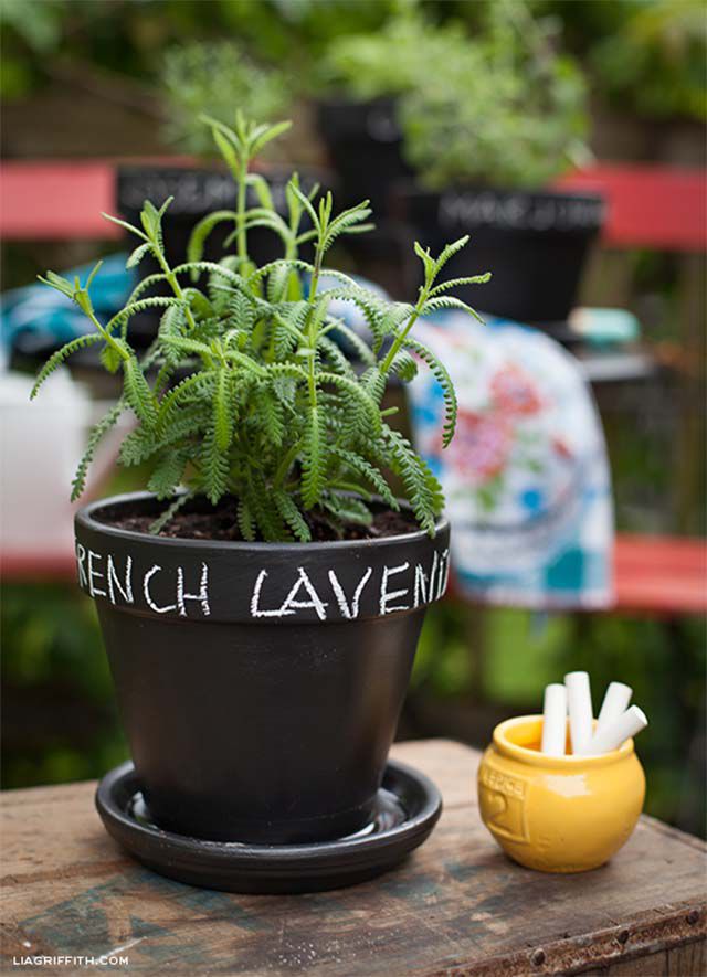 An herb planted in a black chalkboard pot
