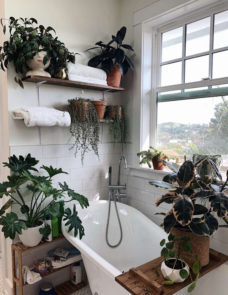 bathroom clawfoot tub with plants