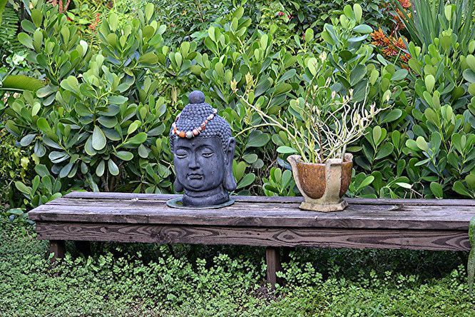 Buddha-Kopf-Skulptur und Topfpflanze auf einer niedrigen Holzbank in einem üppigen grünen Garten.