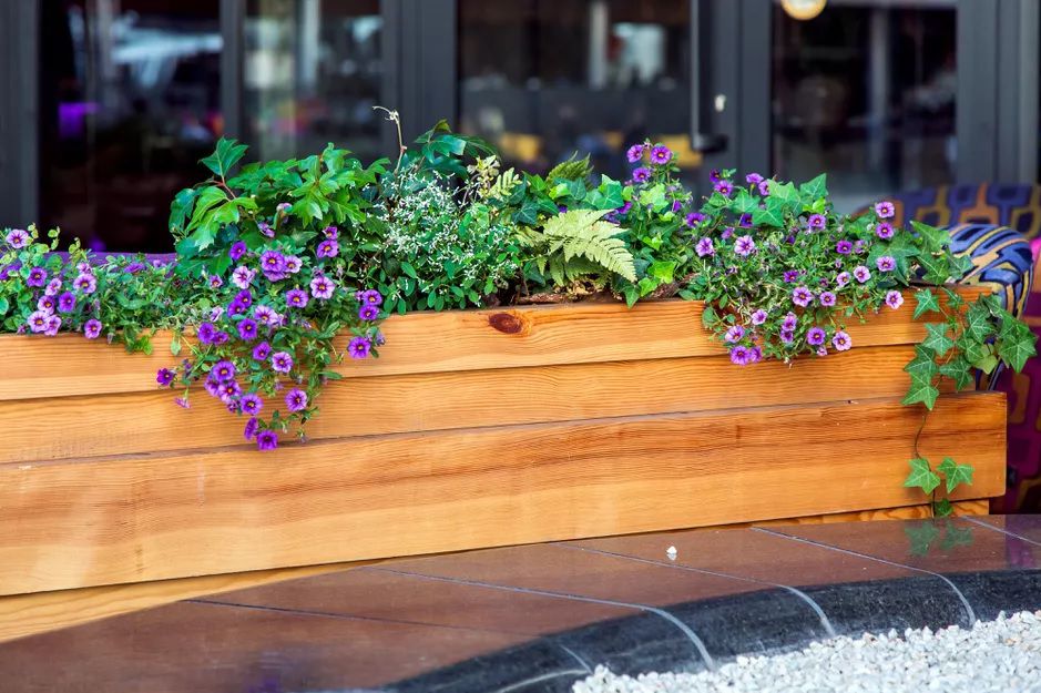 Ein klassischer Pflanzkasten aus Holz mit Blumen.