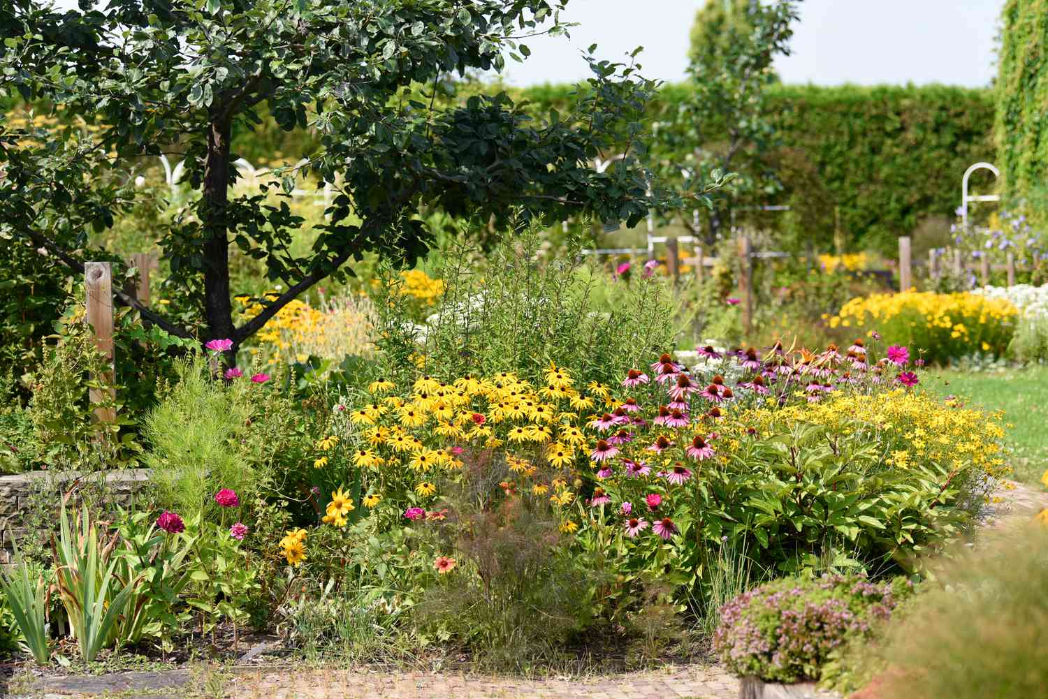 Jardín con coloridas variedades de flores y gramíneas