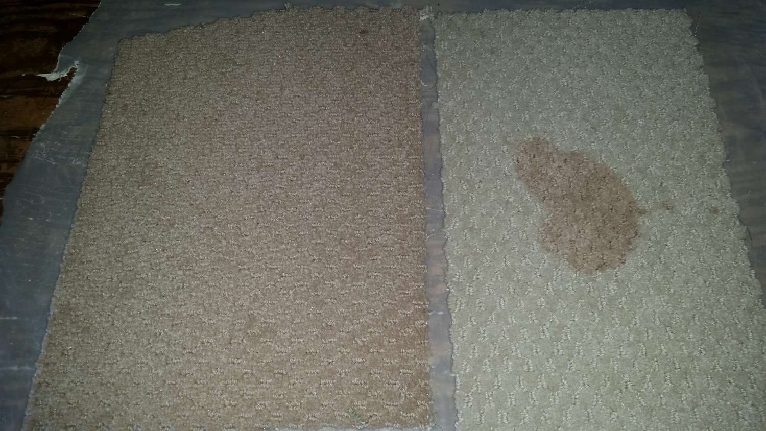 Cranberrysaft-Fleck auf Polyester- und SmartStrand-Triexta-Teppichen