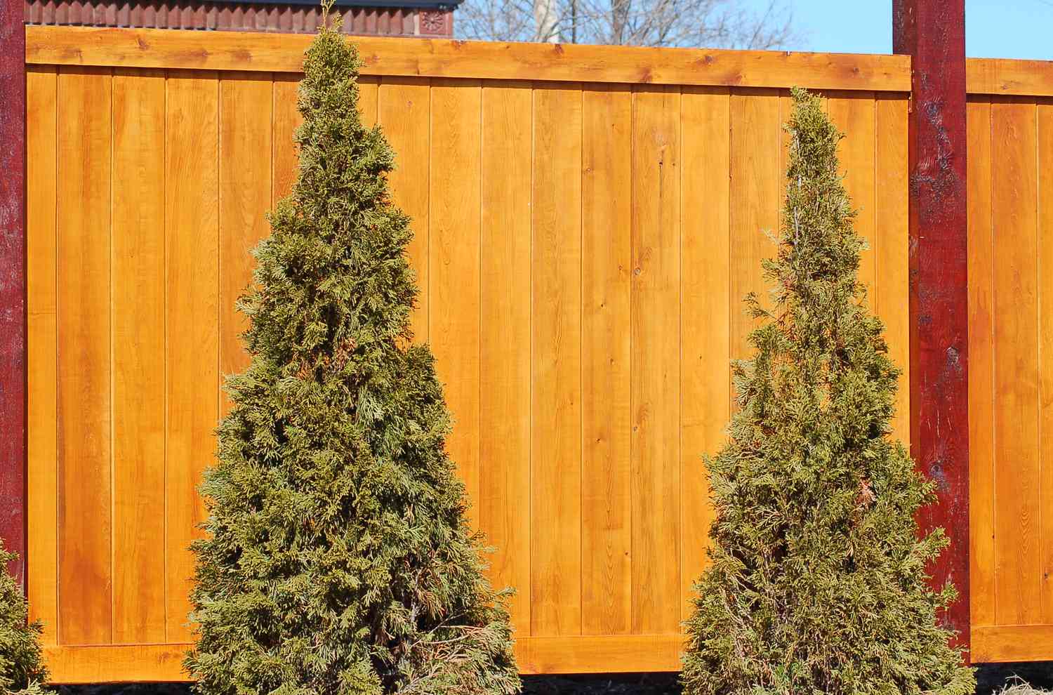 Valla de madera con una plantación de arbustos.