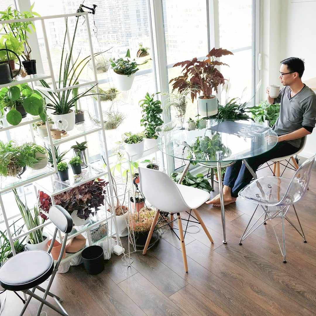 Mann sitzt am Tisch umgeben von Pflanzen