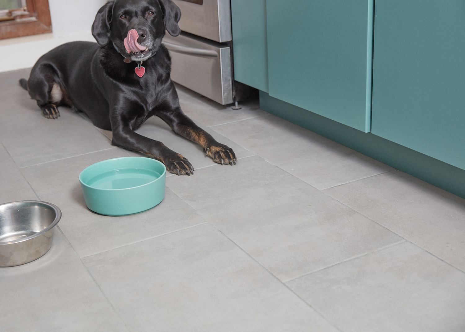 Black dog licking face on pet proof kitchen floor next to teal bowl with water