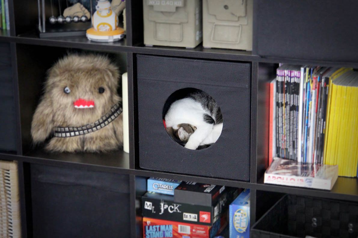 Ikea Kallax Hack Storage for Kitty