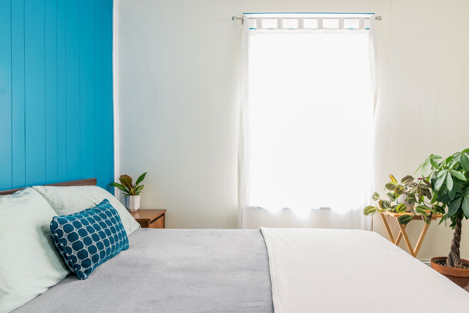 blue accent wall in a bedroom