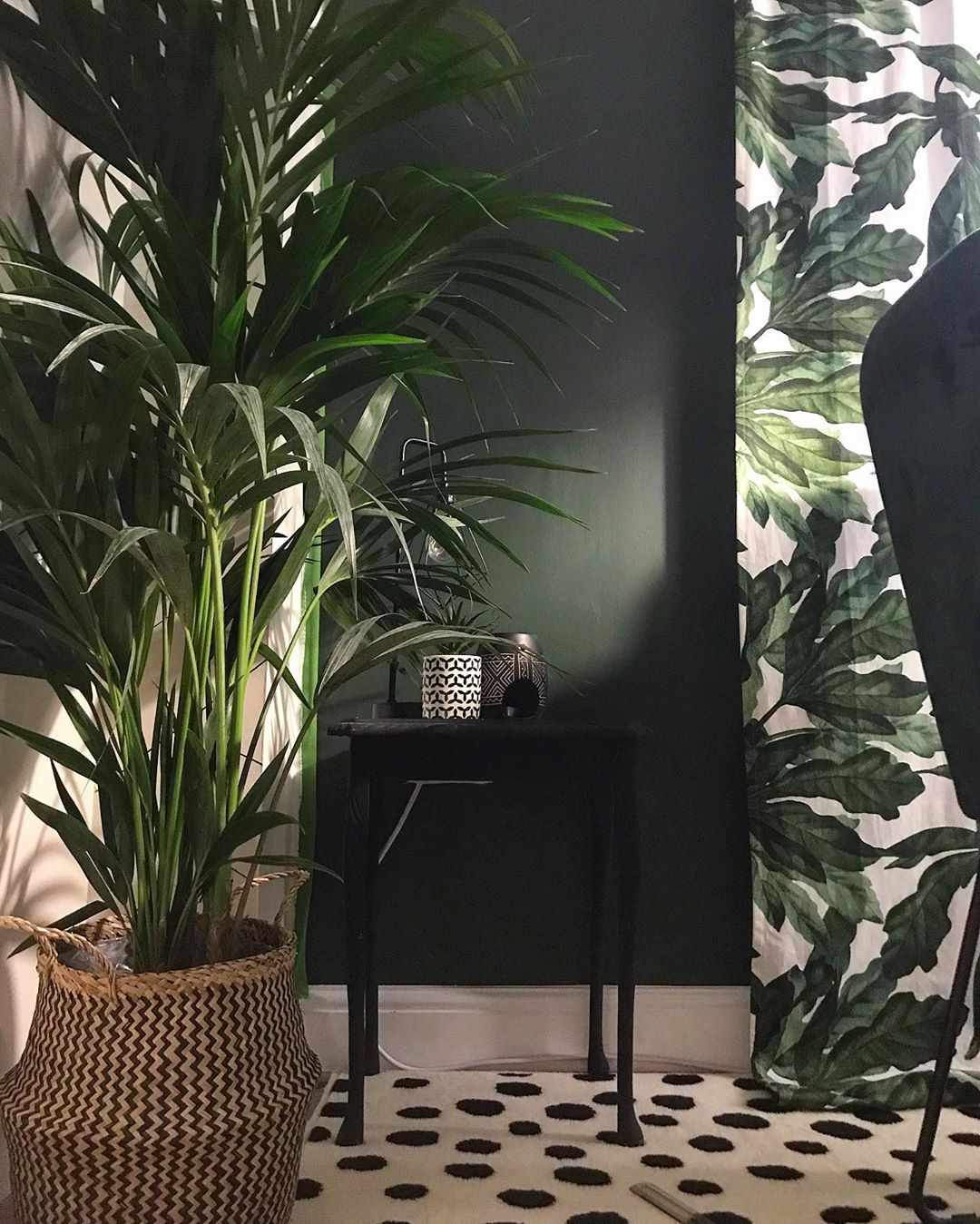 Chambre avec grande plante et murs vert foncé