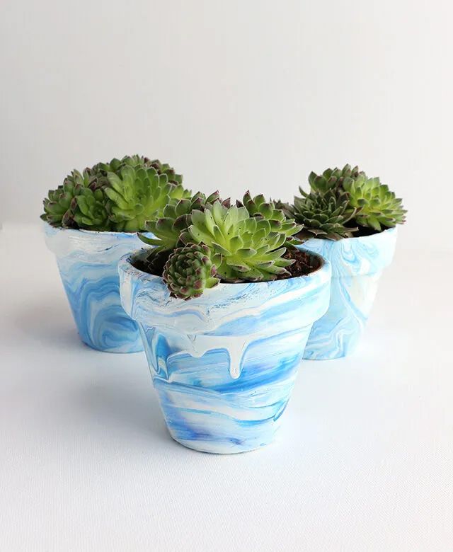 Blue and white marbled pots with succulents in them