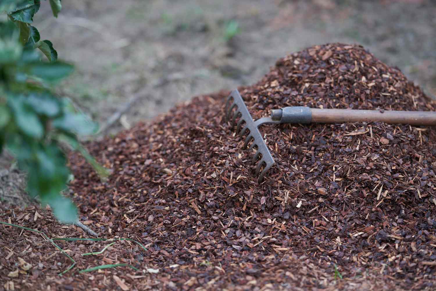 Mulch